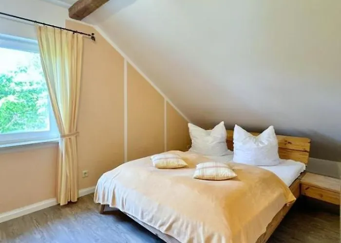 Meeresstern Eingezaeunter Garten Waschmaschine