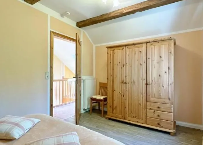 Meeresstern Eingezaeunter Garten Waschmaschine *